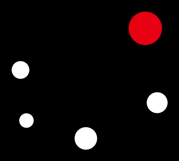 Corvus Vision